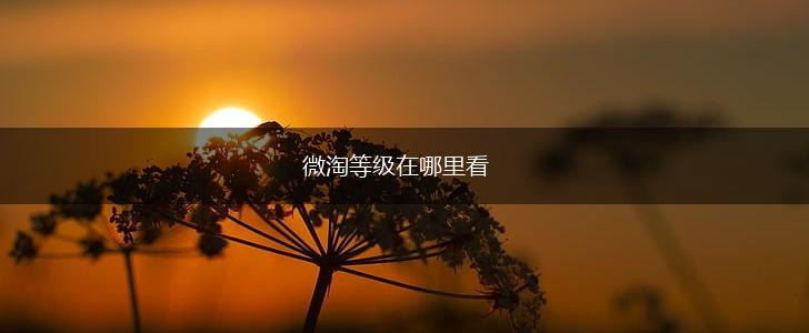 微淘等级在哪里看,第1张