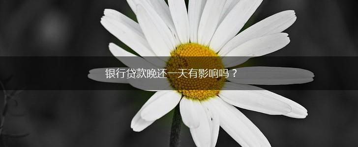 银行贷款晚还一天有影响吗？,第1张