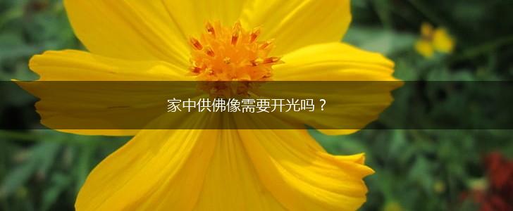 家中供佛像需要开光吗？,第1张