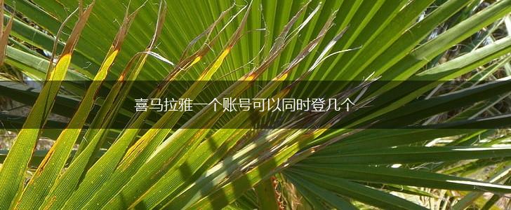 喜马拉雅一个账号可以同时登几个,第1张