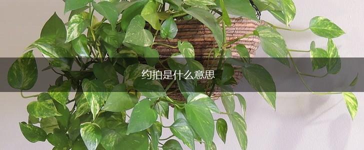 约拍是什么意思,第1张