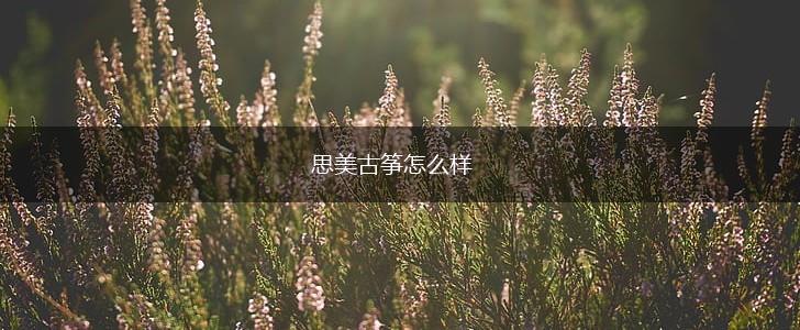 思美古筝怎么样,第1张