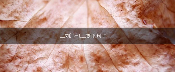 二刘造句,二刘的句子,第1张