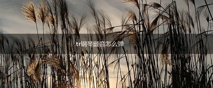 tr钢琴颤音怎么弹,第1张