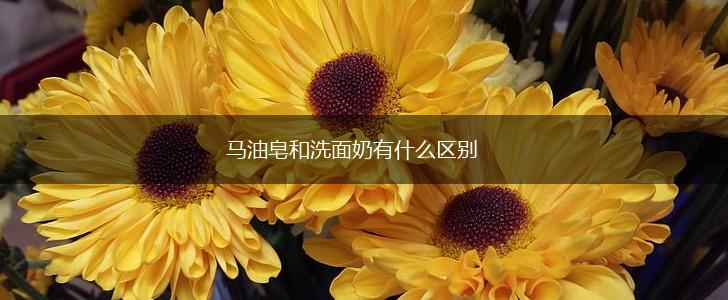 马油皂和洗面奶有什么区别,第1张