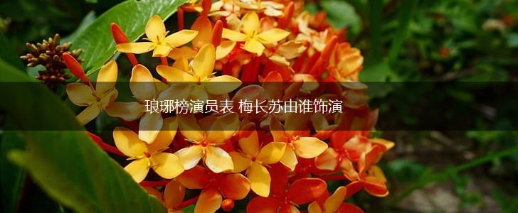 琅琊榜演员表 梅长苏由谁饰演,第1张