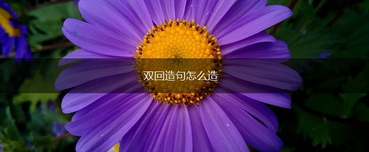 双回造句怎么造,第1张