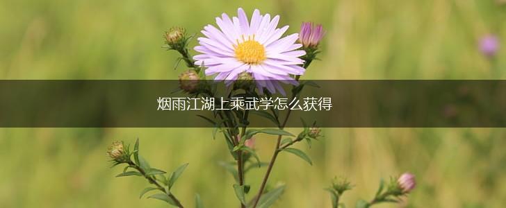 烟雨江湖上乘武学怎么获得,第1张