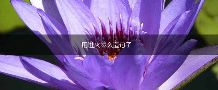 用进火怎么造句子,第1张
