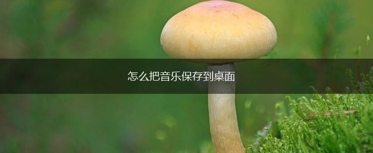 怎么把音乐保存到桌面,第1张