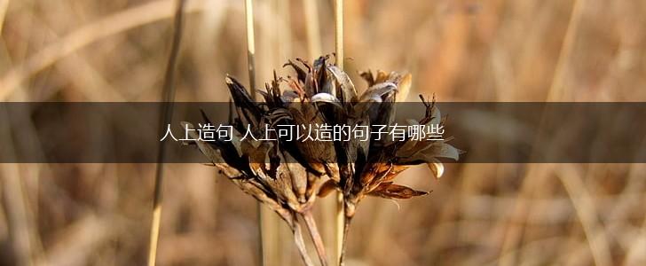 人上造句 人上可以造的句子有哪些,第1张