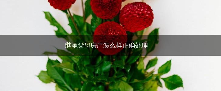 继承父母房产怎么样正确处理,第1张