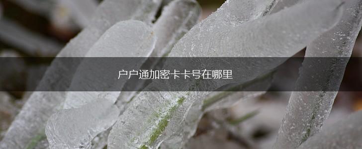 户户通加密卡卡号在哪里,第1张