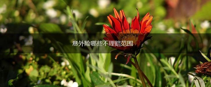 意外险哪些不理赔范围,第1张