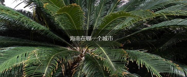 海南在哪一个城市,第1张