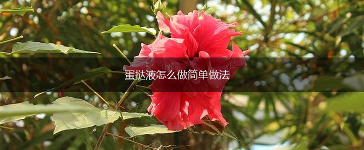 蛋挞液怎么做简单做法,第1张 蛋挞液怎么做简单做法,第1张