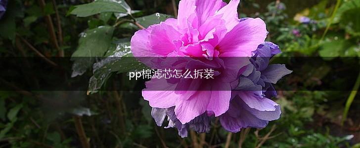 pp棉滤芯怎么拆装,第1张