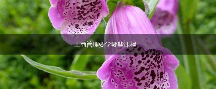 工商管理要学哪些课程,第1张