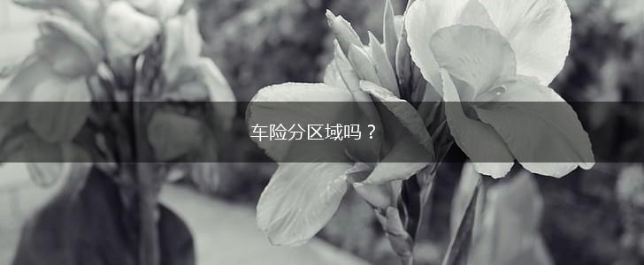 车险分区域吗？,第1张