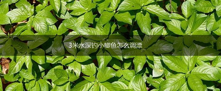 3米水深钓小鲫鱼怎么调漂,第1张