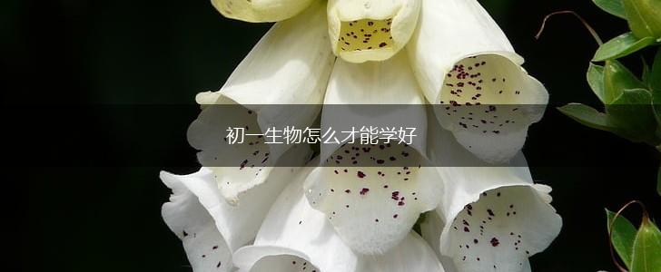 初一生物怎么才能学好,第1张