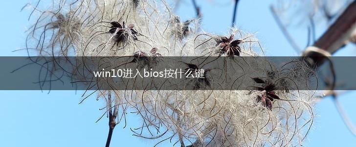 win10进入bios按什么键,第1张