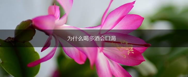 为什么喝多酒会口渴,第1张