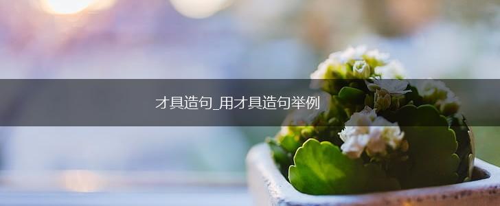 才具造句_用才具造句举例,第1张
