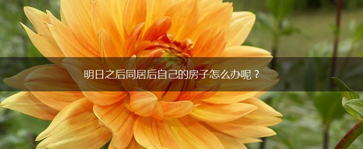 明日之后同居后自己的房子怎么办呢？,第1张