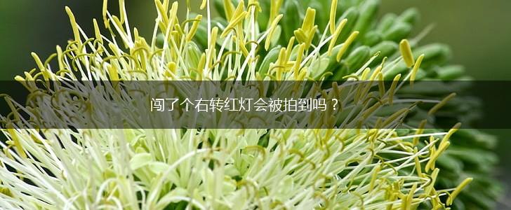 闯了个右转红灯会被拍到吗？,第1张