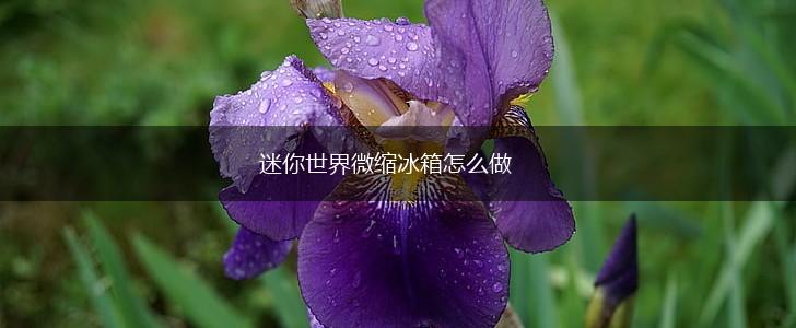 迷你世界微缩冰箱怎么做,第1张