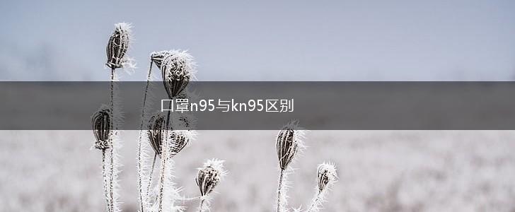 口罩n95与kn95区别,第1张