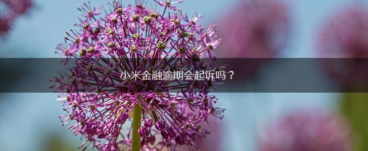 小米金融逾期会起诉吗？,第1张