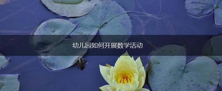幼儿园如何开展数学活动,第1张