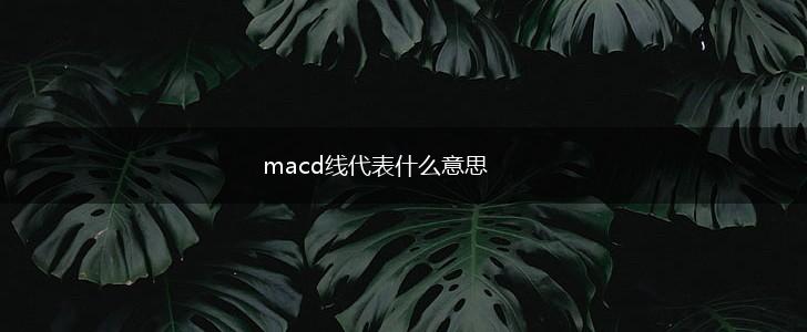 macd线代表什么意思,第1张