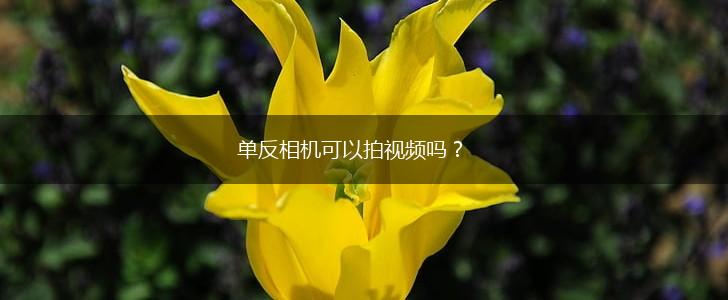 单反相机可以拍视频吗?,第1张 单反相机可以拍视频吗?,第1张