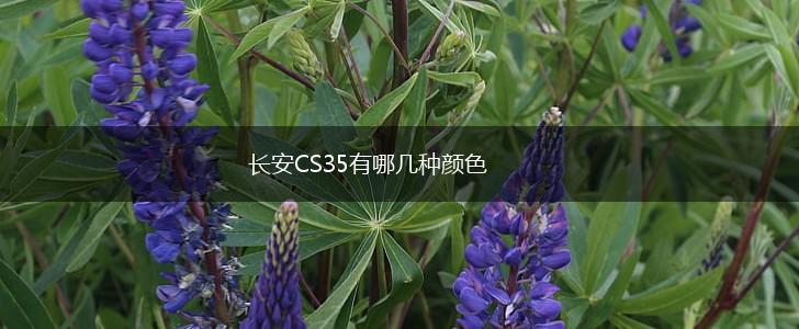 长安CS35有哪几种颜色,第1张