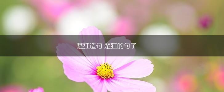 楚狂造句 楚狂的句子,第1张