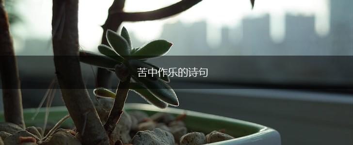 苦中作乐的诗句,第1张