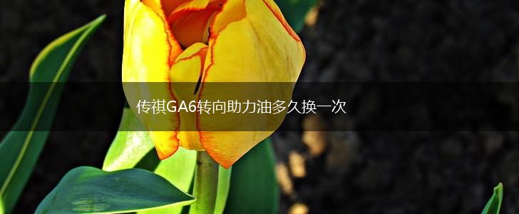 传祺GA6转向助力油多久换一次,第1张