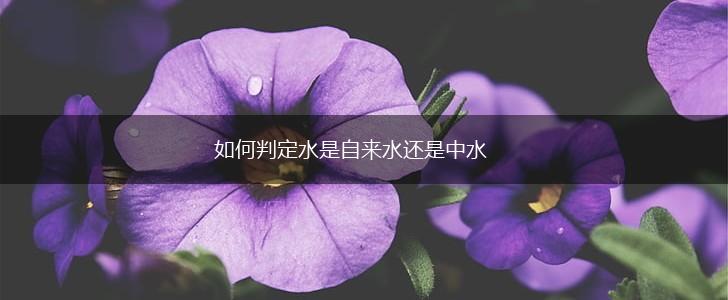 如何判定水是自来水还是中水,第1张