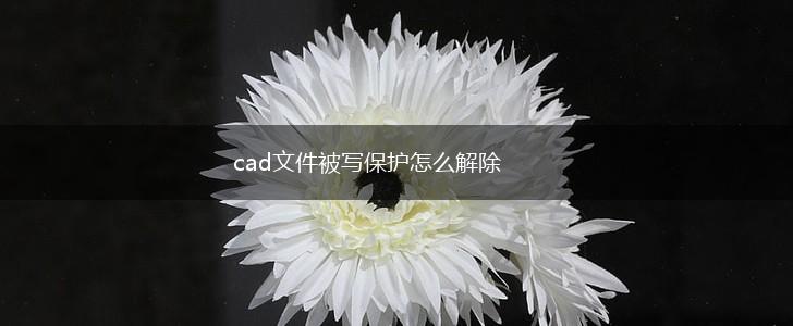 cad文件被写保护怎么解除,第1张