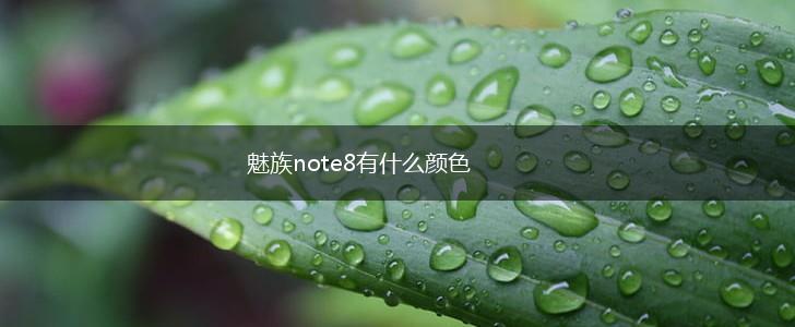 魅族note8有什么颜色,第1张