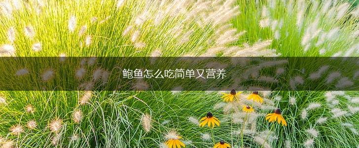 鲍鱼怎么吃简单又营养,第1张