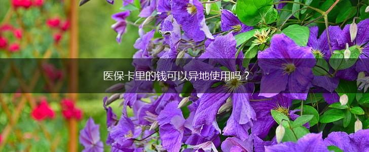 医保卡里的钱可以异地使用吗？,第1张