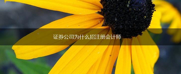 证券公司为什么招注册会计师,第1张