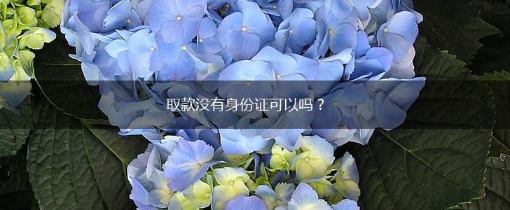 取款没有身份证可以吗？,第1张