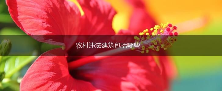 农村违法建筑包括哪些,第1张