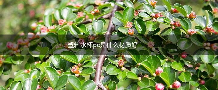 塑料水杯pc是什么材质好,第1张