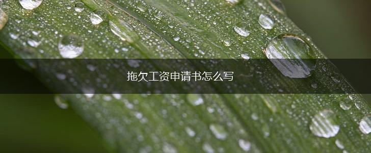 拖欠工资申请书怎么写,第1张